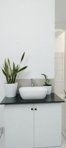 Little home apartment