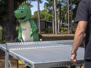 Campings Domaine Residentiel de Plein Air Les Tamarins : photos des chambres
