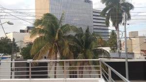 Departamento Campestre, Mérida