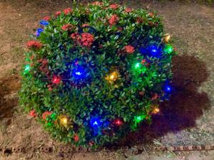 The Family Ozone Pool Houseบ้านพักตากอากาศส่วนตัวกว้างๆแฟมิลี่โอโซนพลูเฮ้าส์3ห้องนอนหลักและ1ห้องเสริมเ??