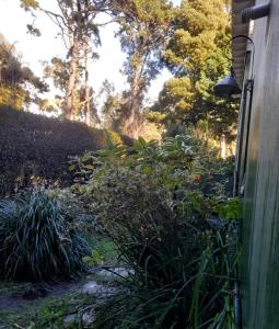 Casita dentro del Bosque Peralta Ramos