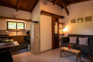 Feeling Trees Jungle Lodge