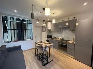 T2 Modern and Cosy in St Étienne - 圣沙蒙