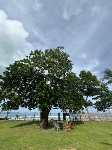 Tropical Palms Villa and Beachfront Resort