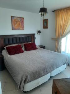 Departamento papudo frente al mar