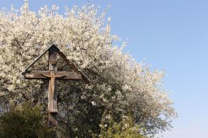 Balaton Panorama Cottage - National Park