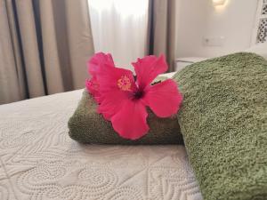 Tamarindo 27 pool front next to the dunes, free WIFI