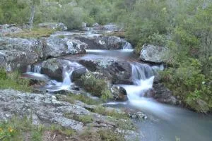 Casita del bosque Tao sierras de Aiguá - J.P. Varela
