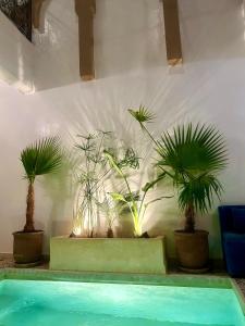 Riad Rosita 4 chambres