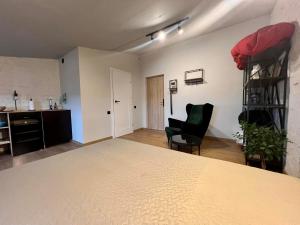 Apartamentai Kauno centre