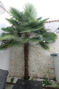 Maisons de vacances Ma Petite Cabane : photos des chambres