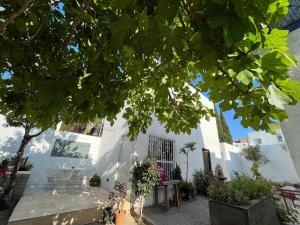 Beautiful apartment in the heart of Playas!