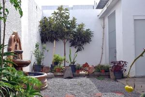 Beautiful apartment in the heart of Playas!