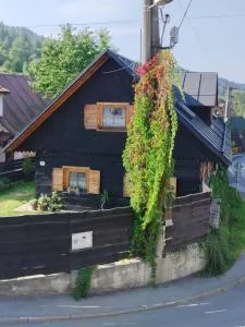 Drevenica u Holtana - 奥什恰德尼察