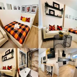 R4 - Elegant Private Room with Kitchenette near QE Hospital Harborne - Quinton