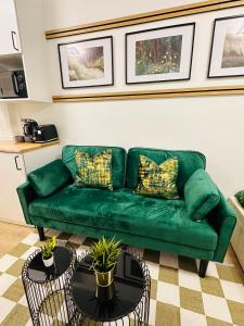 Luxurious Private Room with Kitchenette near QE Hospital Harborne R5