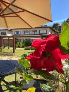 Village Barra Grande Apt 117 Cond Viva Barra