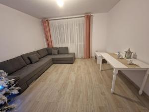 Coresi Grandis Premium Studio 10