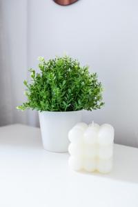 Appartements Le Clair & Spacieux - Parking - 15 min Paris : photos des chambres