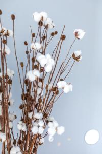 Appartements Le Clair & Spacieux - Parking - 15 min Paris : Appartement 2 Chambres