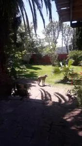 Carpe Diem Gonnet - José Hernández