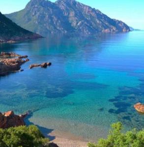 Maisons de vacances Sagone villa sea view : photos des chambres