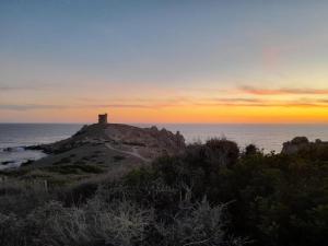 Maisons de vacances Sagone villa sea view : photos des chambres