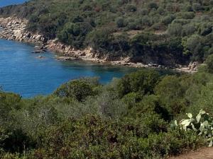 Maisons de vacances Sagone villa sea view : photos des chambres