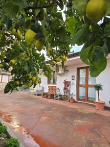 Kalos Apartment Battipaglia