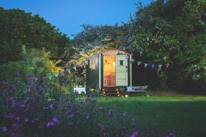 Elderflower Hut - Luxusní stany, Port Isaac