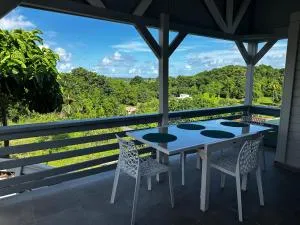 L'O - Au cœur de la Grande-Terre - T2 - Émilien