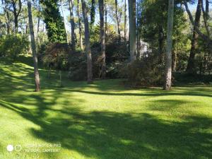 Casa Frida con piscina