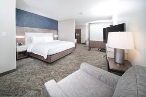 Deluxe King suite with Sofa Bed and Whirlpool room in SpringHill Suites by Marriott Fayetteville Fort Bragg