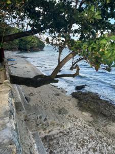 Tubod Mar Terraza 3 bedrooms and basement up to 18 pax