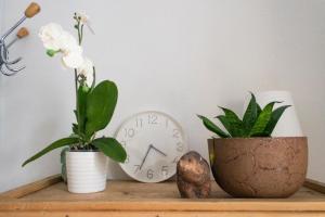 3 Lovely rooms in Helsinki center.