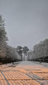 Appartements So Cosy Home Paris-Sceaux/Bourg-la-Reine. : photos des chambres