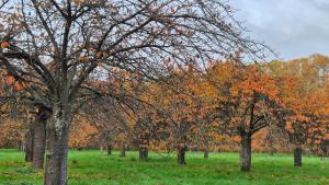 Appartements So Cosy Home Paris-Sceaux/Bourg-la-Reine. : photos des chambres