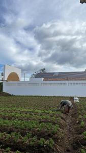 Unit Paloma Villa Deba Sugihmukti