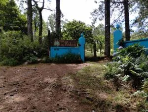 Sitio dos pinhais - Piratini