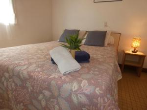 Maison mitoyenne avec terrasse et parking, animaux admis, proche plage - Notre-Dame-de-Monts - FR-1-540-299