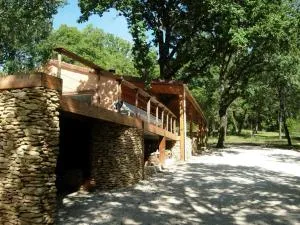 Maison bois avec piscine privée et Wifi, animaux admis - FR-1-616-447 - Vialot