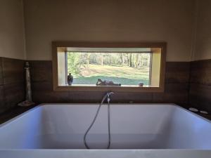 Maisons de vacances Maison bois avec piscine privee et Wifi, animaux admis - FR-1-616-447 : photos des chambres