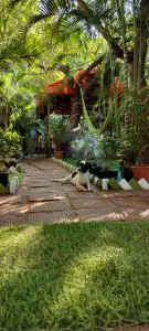 Nature of Arambol - Paliem