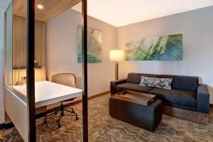 Suite, 1 King trundle, Trundle bed room in SpringHill Suites by Marriott Orangeburg