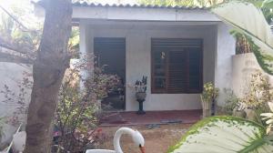 Tharu Holiday Home