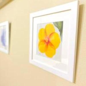 Artz Apt 405 アルツマンション 405