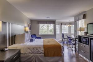 Junior Suite room in Guesthouse Inn & Suites Lexington