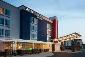 SpringHill Suites by Marriott Murray - Fulton