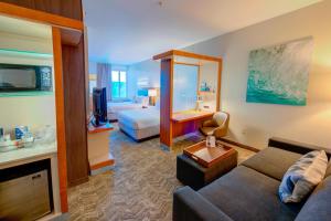 SpringHill Suites by Marriott Macon