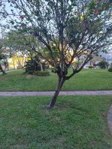 Apartamento dúplex a 150m da praia